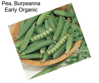 Pea, Burpeanna Early Organic