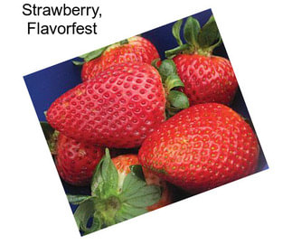 Strawberry, Flavorfest