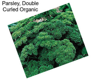 Parsley, Double Curled Organic