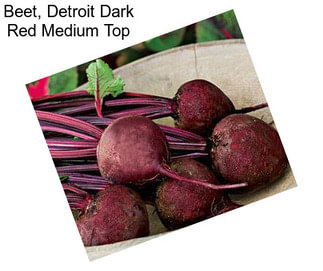 Beet, Detroit Dark Red Medium Top