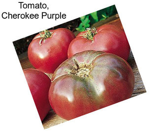 Tomato, Cherokee Purple