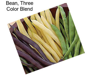 Bean, Three Color Blend