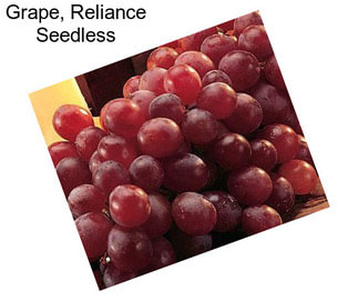 Grape, Reliance Seedless