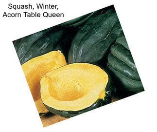 Squash, Winter, Acorn Table Queen