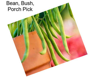 Bean, Bush, Porch Pick