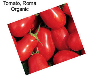 Tomato, Roma Organic