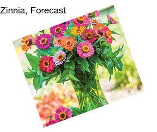 Zinnia, Forecast