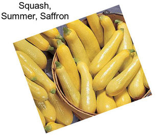 Squash, Summer, Saffron