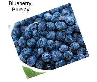Blueberry, Bluejay