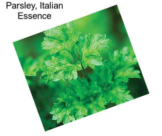 Parsley, Italian Essence