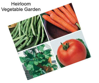 Heirloom Vegetable Garden