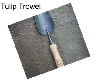 Tulip Trowel