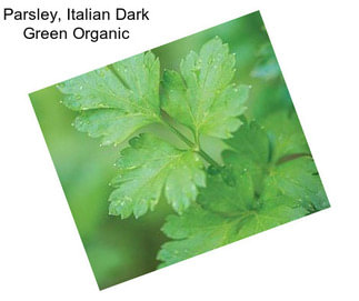 Parsley, Italian Dark Green Organic