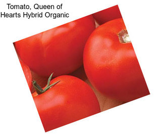 Tomato, Queen of Hearts Hybrid Organic