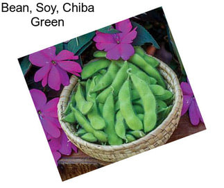 Bean, Soy, Chiba Green