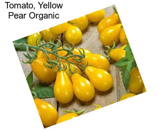 Tomato, Yellow Pear Organic