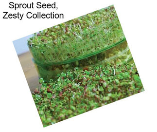 Sprout Seed, Zesty Collection