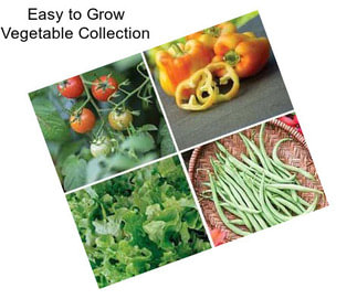 Easy to Grow Vegetable Collection