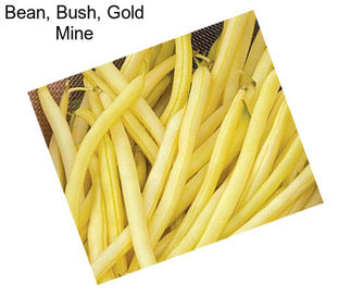 Bean, Bush, Gold Mine