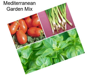 Mediterranean Garden Mix