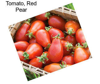 Tomato, Red Pear