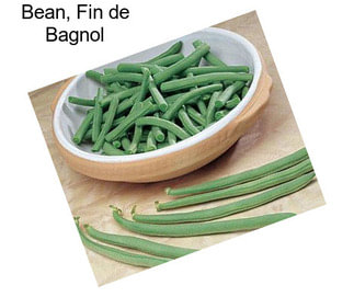 Bean, Fin de Bagnol