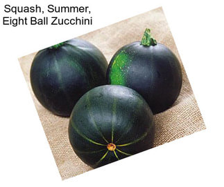 Squash, Summer, Eight Ball Zucchini