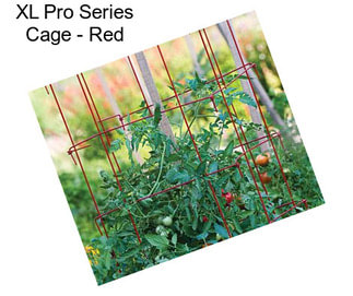 XL Pro Series Cage - Red