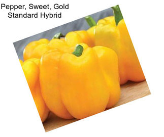 Pepper, Sweet, Gold Standard Hybrid
