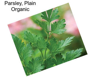Parsley, Plain Organic