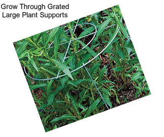 Grow Through Grated Large Plant Supports