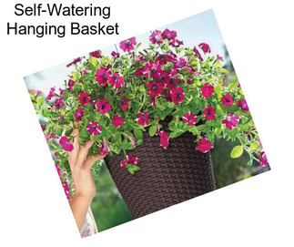 Self-Watering Hanging Basket