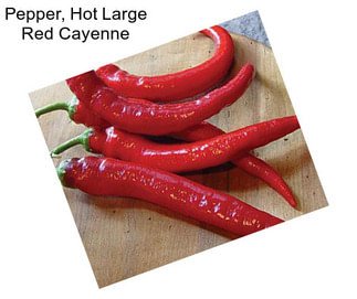 Pepper, Hot Large Red Cayenne