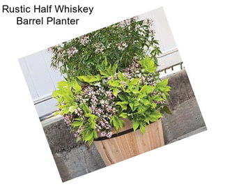 Rustic Half Whiskey Barrel Planter