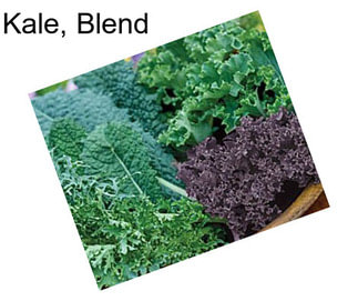 Kale, Blend