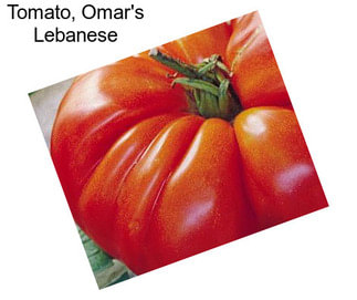 Tomato, Omar\'s Lebanese