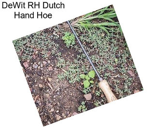 DeWit RH Dutch Hand Hoe