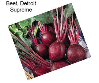 Beet, Detroit Supreme