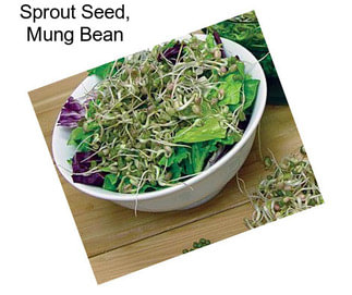 Sprout Seed, Mung Bean