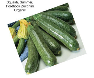 Squash, Summer, Fordhook Zucchini Organic