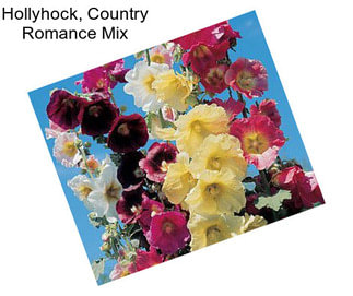 Hollyhock, Country Romance Mix