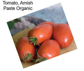 Tomato, Amish Paste Organic