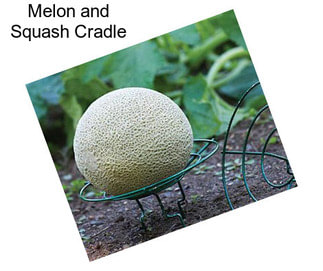 Melon and Squash Cradle