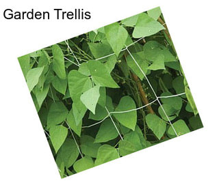 Garden Trellis