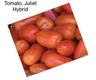 Tomato, Juliet Hybrid