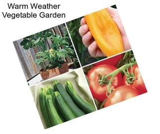 Warm Weather Vegetable Garden