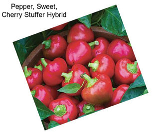 Pepper, Sweet, Cherry Stuffer Hybrid