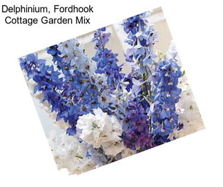 Delphinium, Fordhook Cottage Garden Mix