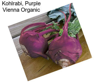 Kohlrabi, Purple Vienna Organic