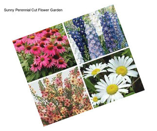 Sunny Perennial Cut Flower Garden